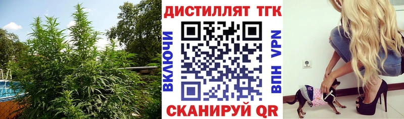ТГК вейп с тгк  что такое наркотик  Нестеров 